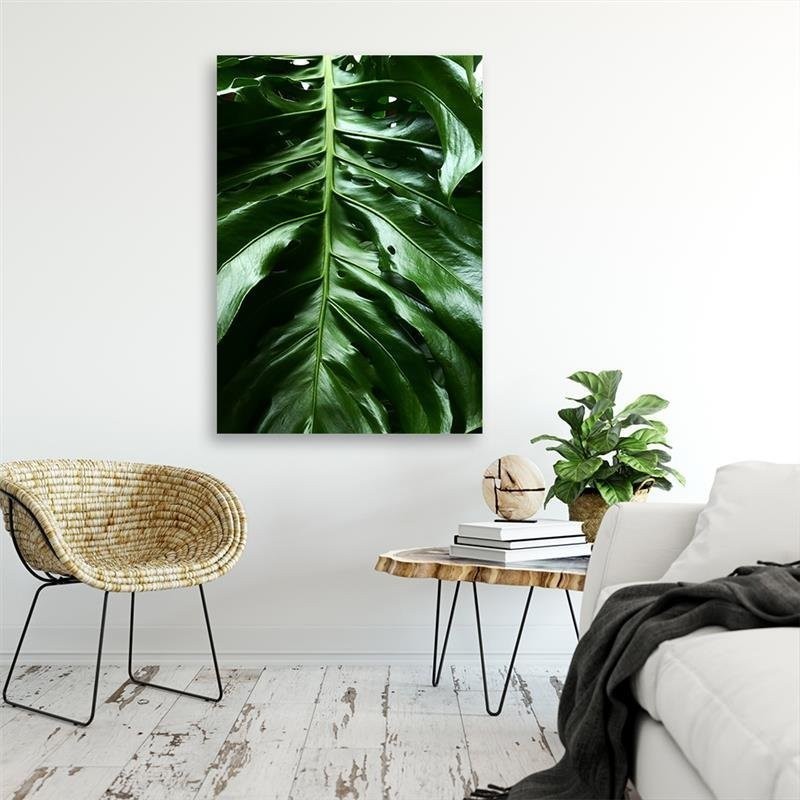 Leinwandbild - Glattes Blatt einer Monstera-Pflanze | Feeby