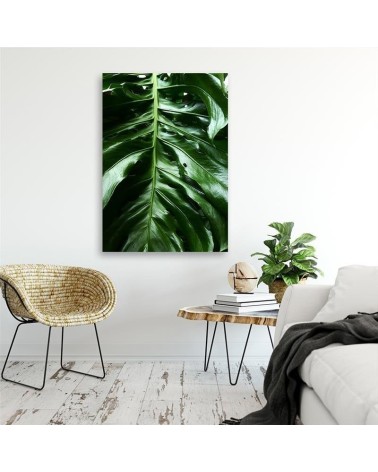Leinwandbild - Glattes Blatt einer Monstera-Pflanze | Feeby