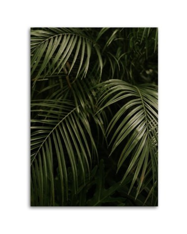 Bild auf Leinwand - Grüne Palmblätter | Feeby