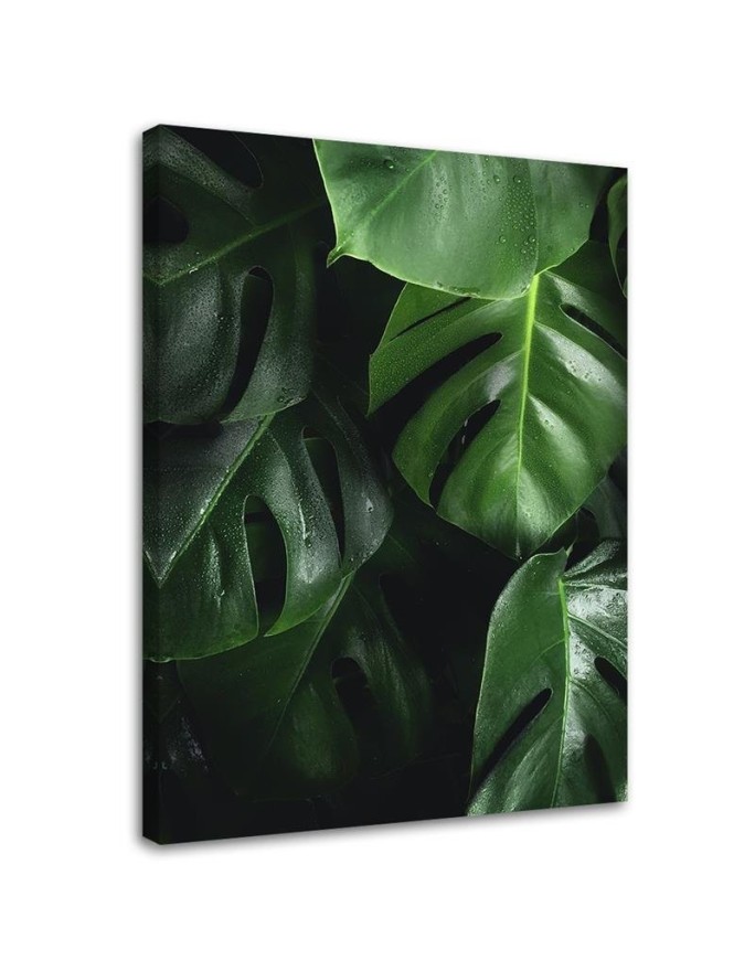 Monstera liście - obraz nowoczesny do salonu na ścianę