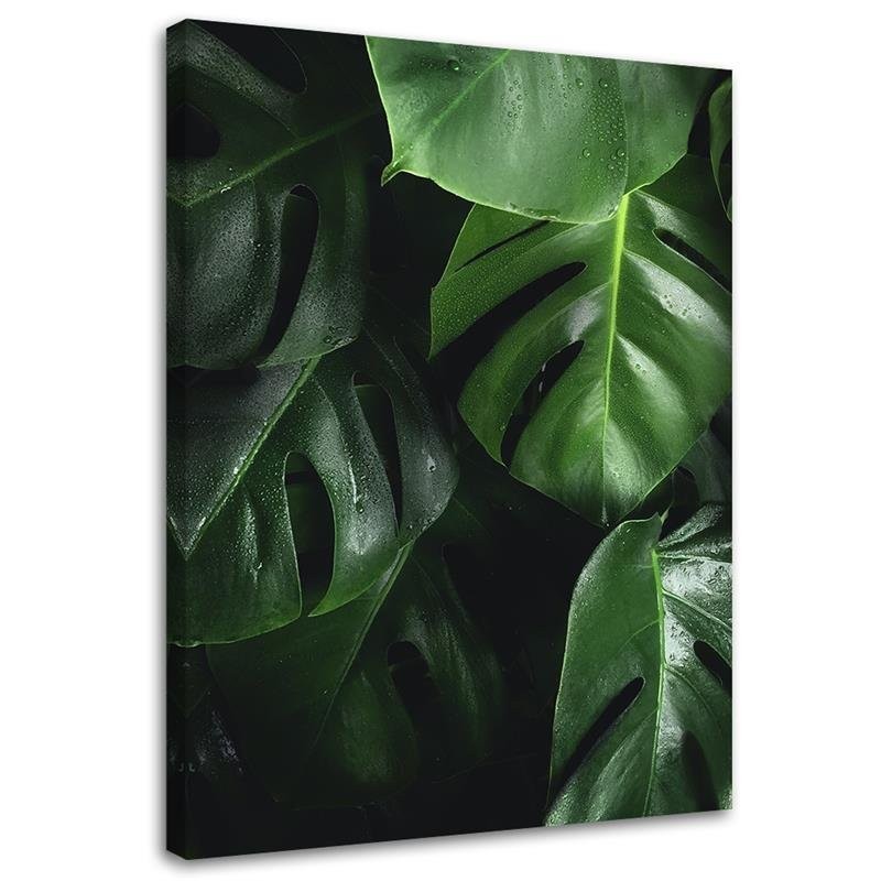Monstera liście - obraz nowoczesny do salonu na ścianę