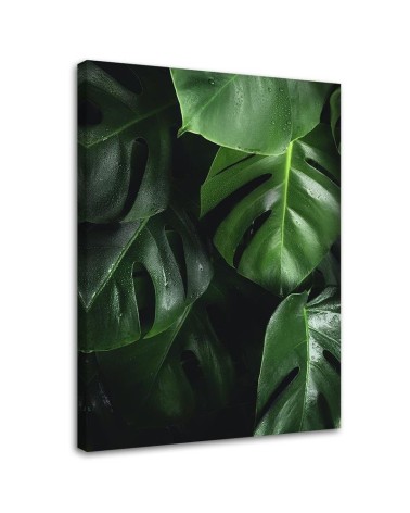 Monstera liście - obraz nowoczesny do salonu na ścianę