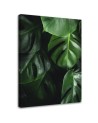 Monstera liście - obraz nowoczesny do salonu na ścianę