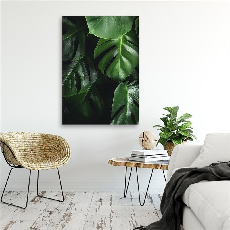Leinwandbild - Monstera Blätter | Feeby
