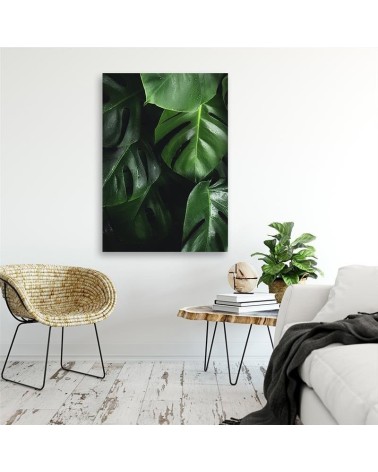 Leinwandbild - Monstera Blätter | Feeby