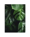 Monstera liście - obraz nowoczesny do salonu na ścianę