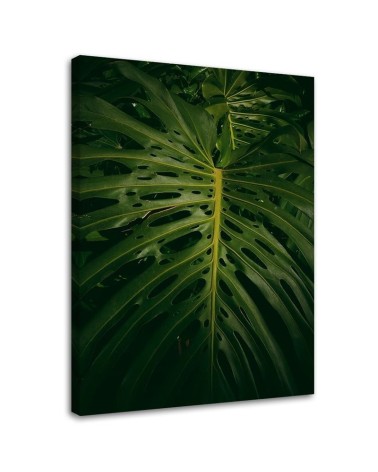 Wandbild für Wohnzimmer - Exotisches Blatt | Feeby