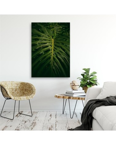 Wandbild für Wohnzimmer - Exotisches Blatt | Feeby