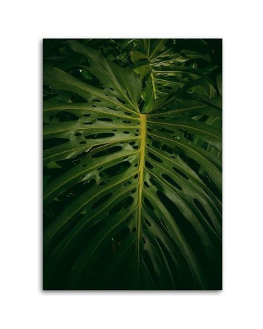 Wandbild für Wohnzimmer - Exotisches Blatt | Feeby