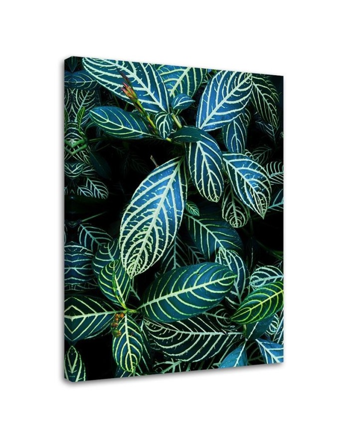 Modernes Wandbild - Blätter von Pflanzen in den Tropen | Feeby