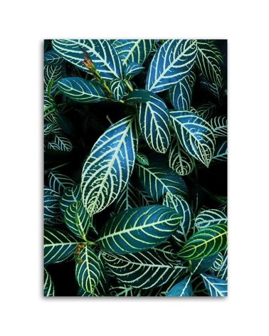 Modernes Wandbild - Blätter von Pflanzen in den Tropen | Feeby