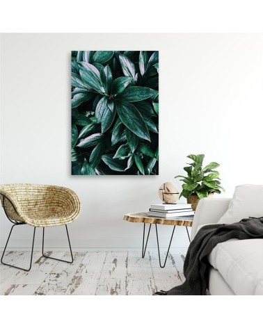 Dekoratives Leinwandbild - Blätter von tropischen Pflanzen | Feeby