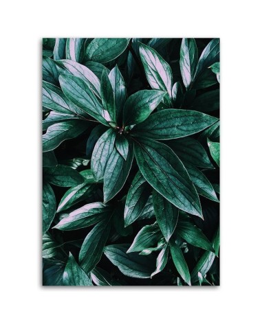 Dekoratives Leinwandbild - Blätter von tropischen Pflanzen | Feeby