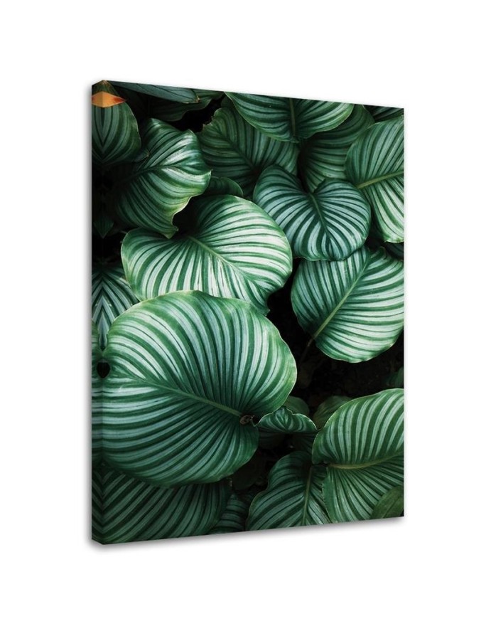 Leinwandbild - Tropische Blätter | Feeby