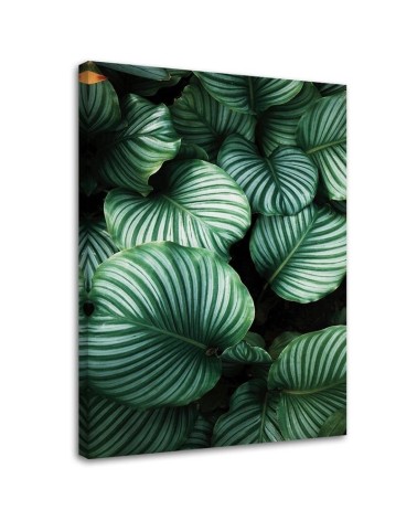 Leinwandbild - Tropische Blätter | Feeby