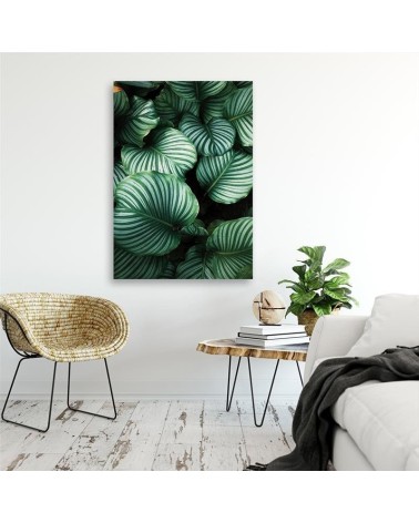 Leinwandbild - Tropische Blätter | Feeby