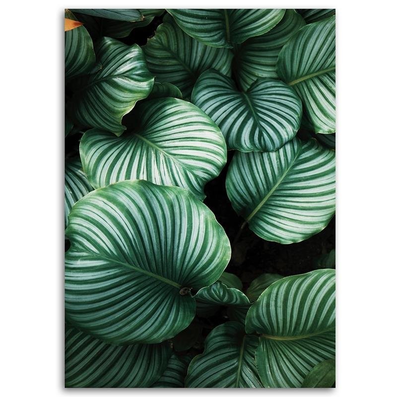 Leinwandbild - Tropische Blätter | Feeby