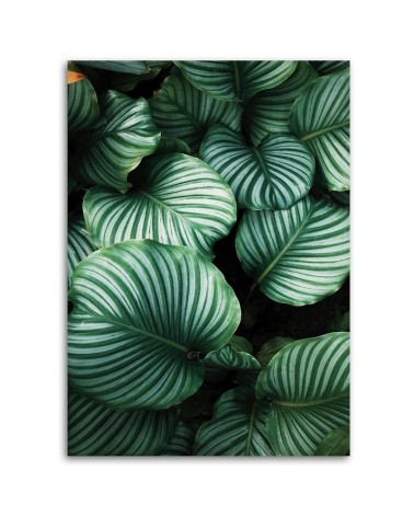 Leinwandbild - Tropische Blätter | Feeby