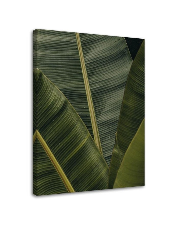 Modernes Wandbild - Tropische Bananenblätter | Feeby