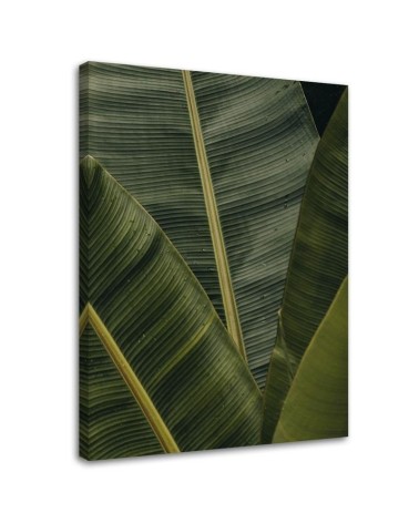 Leaf Canvas painting for room - Tropical banana leaves | FEEBY
