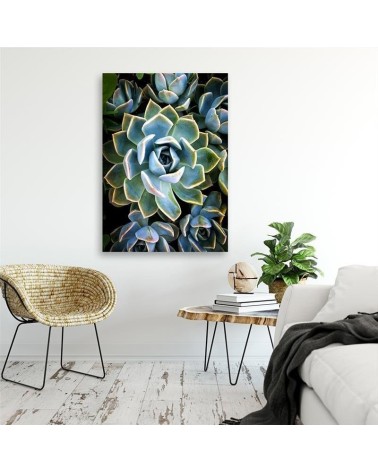 Bild auf Leinwand - Weiße Sukkulentenblüte | Feeby