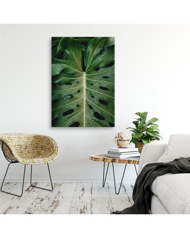 Leinwanddruck - Tropische Monstera | Feeby