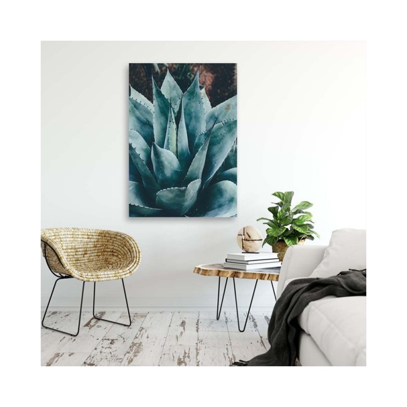 Modernes Wandbild - Agave mit großen Blättern | Feeby