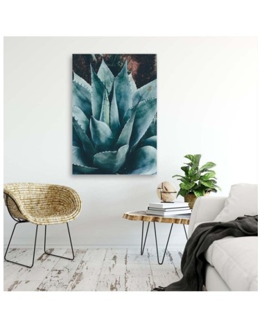 Modernes Wandbild - Agave mit großen Blättern | Feeby