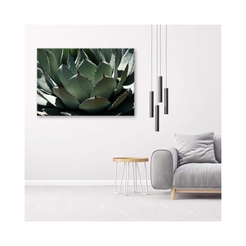 Dekoratives Leinwandbild - Nahaufnahme von Agavenblättern | Feeby