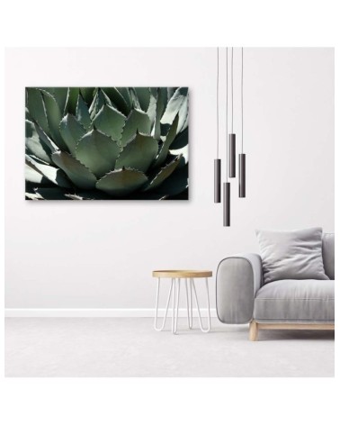 Dekoratives Leinwandbild - Nahaufnahme von Agavenblättern | Feeby