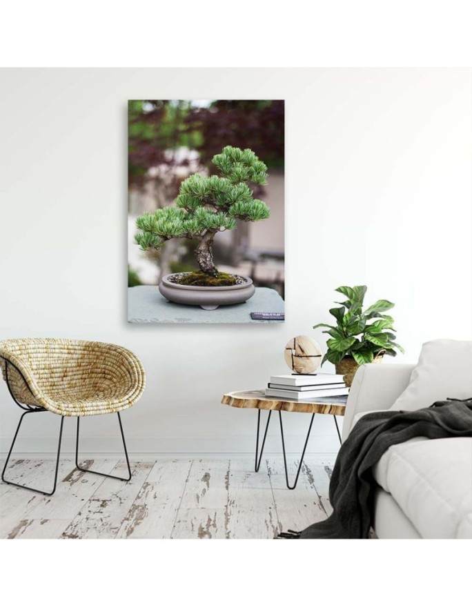 Obraz na płótnie canvas do kuchni - Drzewko bonsai na kamieniach