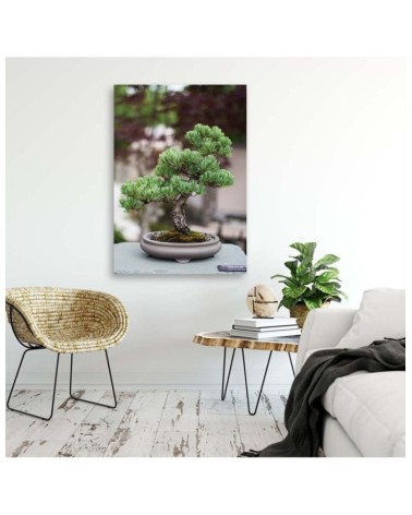 Bild auf Leinwand - Bonsaibaum auf Steinen | Feeby