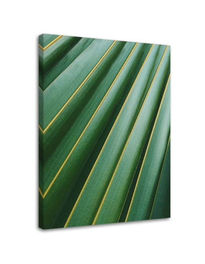 Modernes Wandbild - Fragment eines Palmenblattes | Feeby