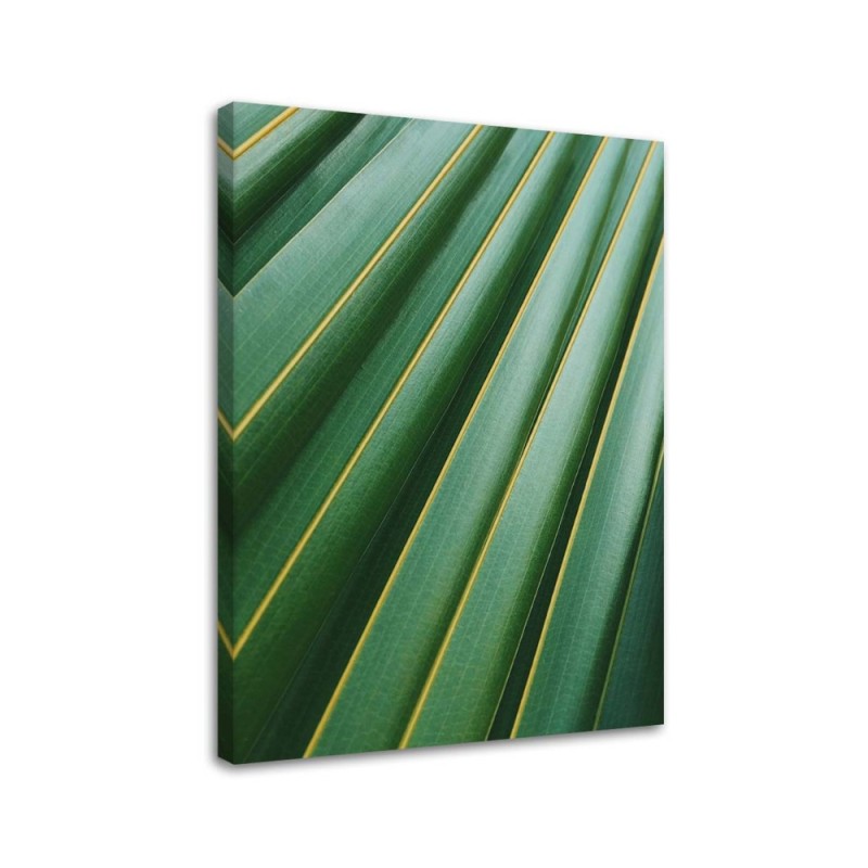 Modernes Wandbild - Fragment eines Palmenblattes | Feeby