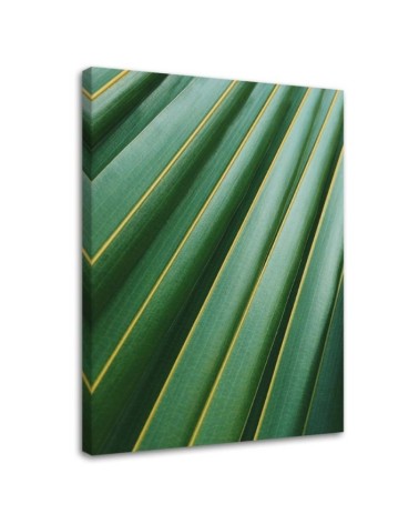 Modernes Wandbild - Fragment eines Palmenblattes | Feeby