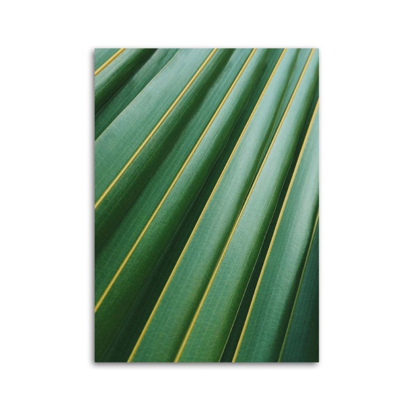 Modernes Wandbild - Fragment eines Palmenblattes | Feeby