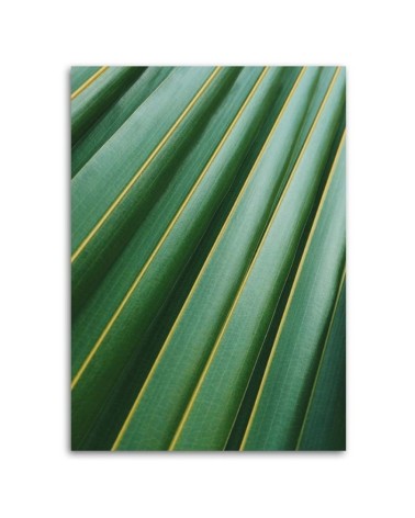 Modernes Wandbild - Fragment eines Palmenblattes | Feeby