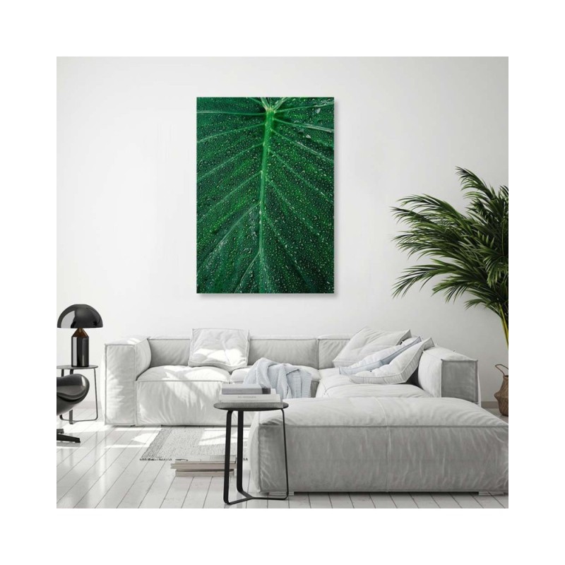 Leinwanddruck - Wassertropfen auf einem großen Blatt | Feeby