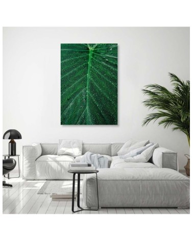 Leinwanddruck - Wassertropfen auf einem großen Blatt | Feeby