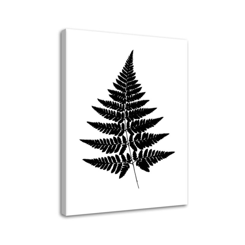 Leinwandbild modern - Farnblatt | Feeby