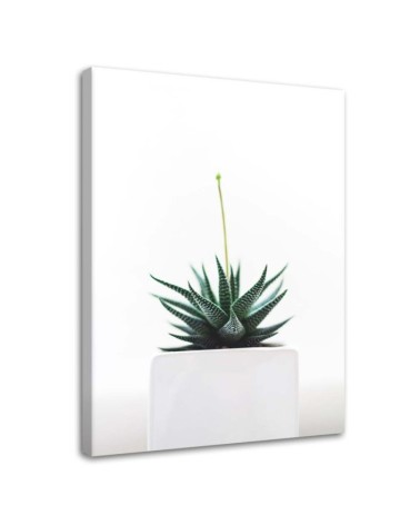 Modern painting for living room - Cactus plant in a pot | FEEBY