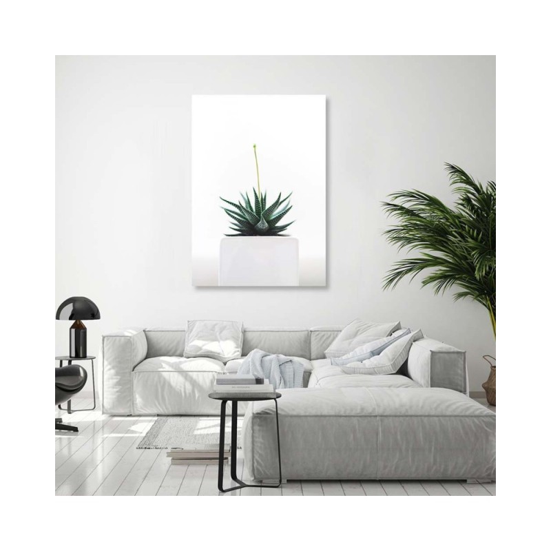 Leinwanddruck - Jungpflanze im Topf | Feeby
