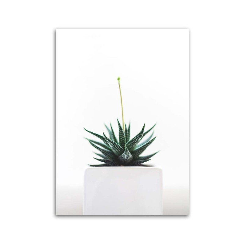 Leinwanddruck - Jungpflanze im Topf | Feeby