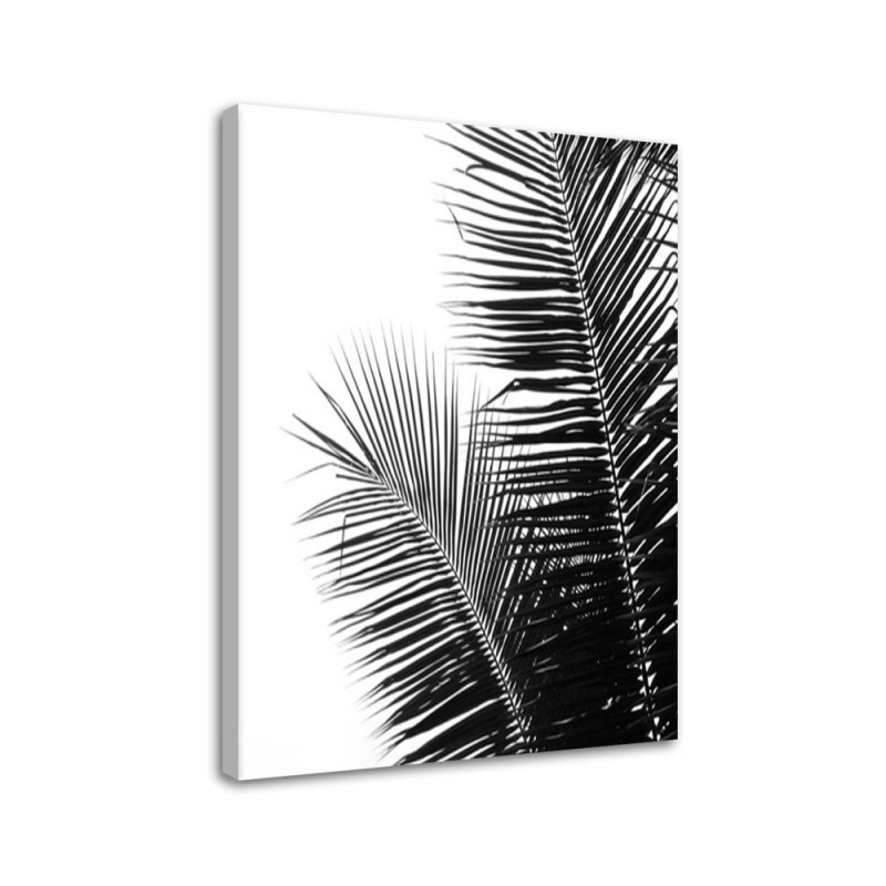 Bild auf Leinwand - Palmenblätter | Feeby