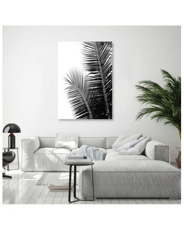 Bild auf Leinwand - Palmenblätter | Feeby