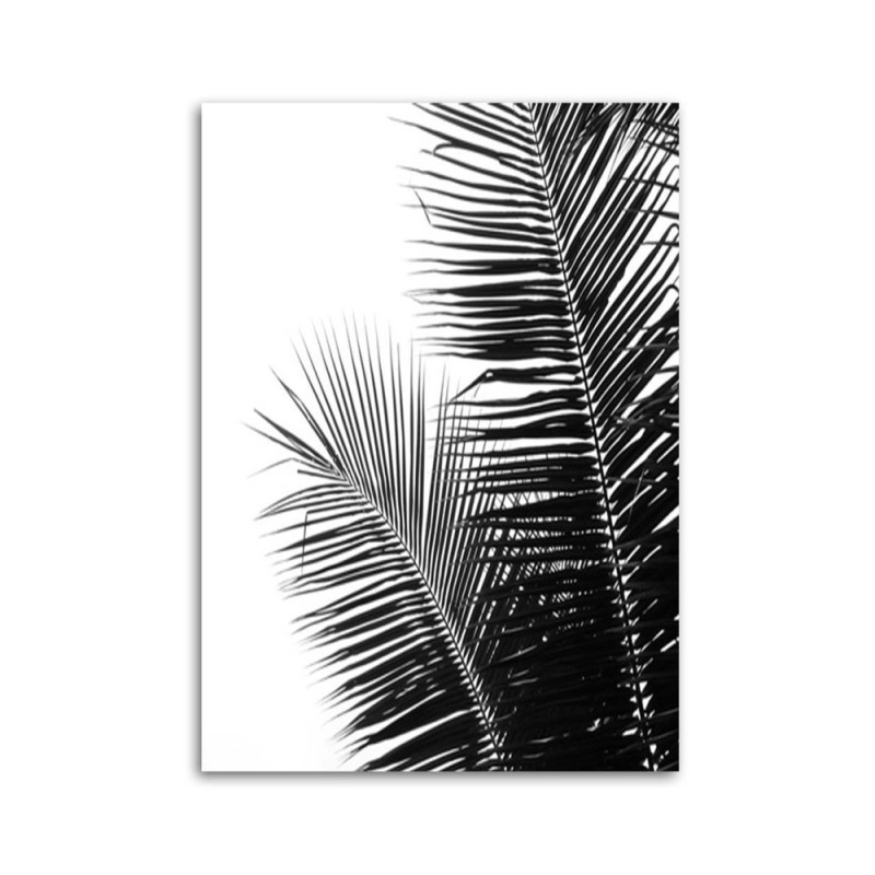 Bild auf Leinwand - Palmenblätter | Feeby