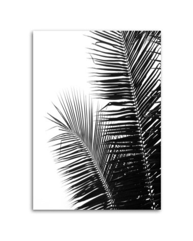 Bild auf Leinwand - Palmenblätter | Feeby