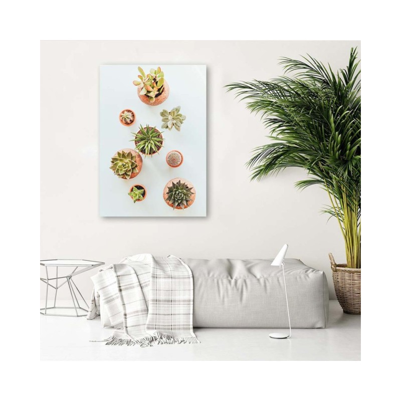 Bild auf Leinwand - Pflanzen in Töpfen | Feeby