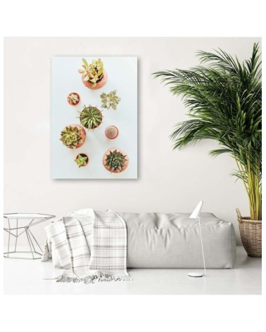 Bild auf Leinwand - Pflanzen in Töpfen | Feeby