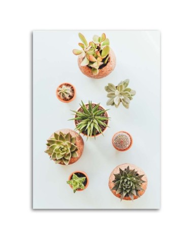 Bild auf Leinwand - Pflanzen in Töpfen | Feeby